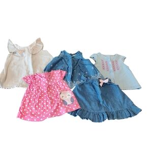 Baby Girls Shirts Bundle Size 3-6 Months Pink Blue Tops